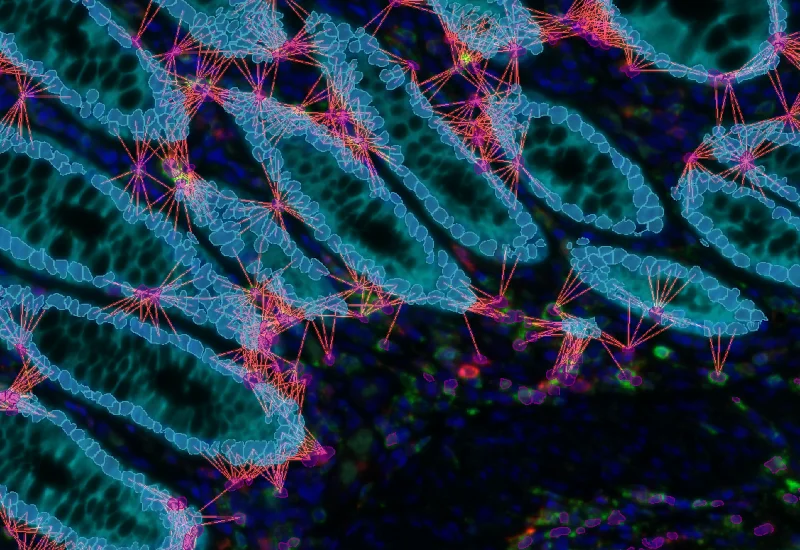 Dynamic Content Image